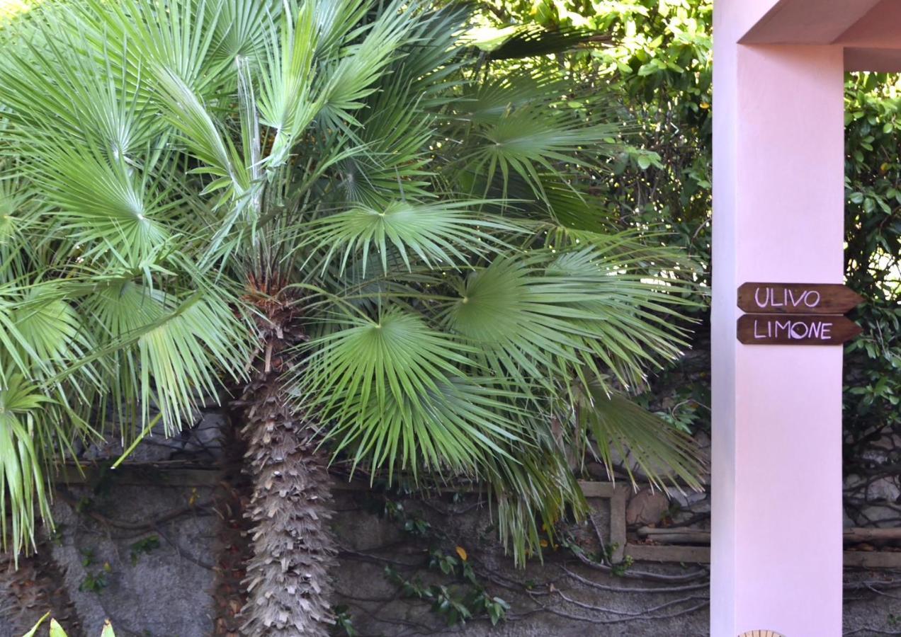 Villa Fiore Apartments Portoferraio Extérieur photo